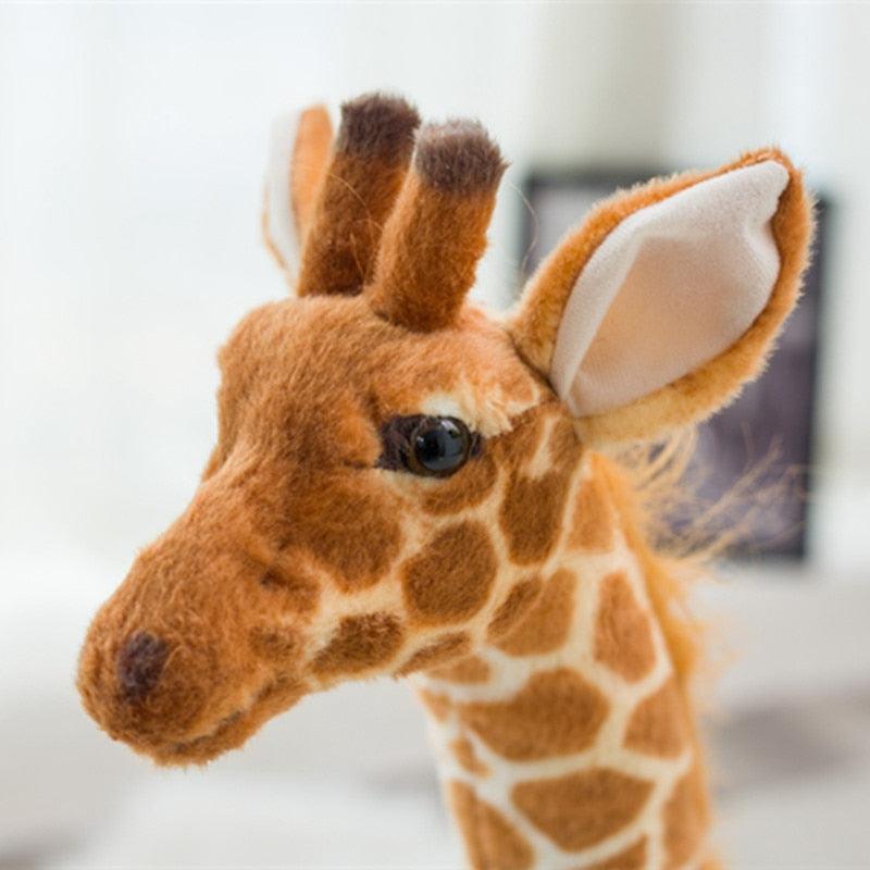 Giant Giraffe Plush Toy - Kyootii